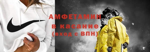 прущие грибы Абаза
