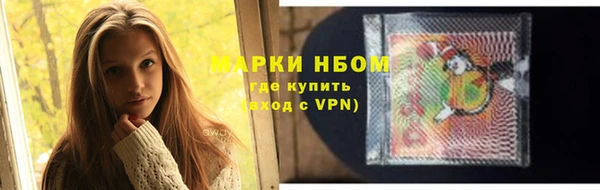 прущие грибы Абаза