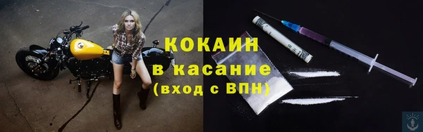 прущие грибы Абаза