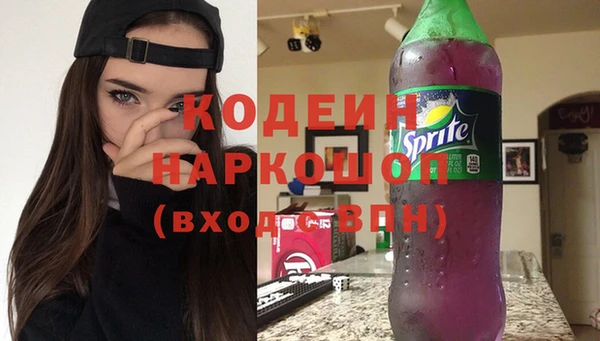 прущие грибы Абаза