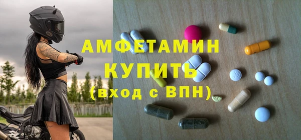прущие грибы Абаза